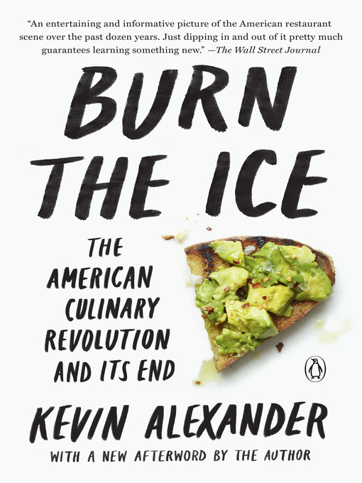 Title details for Burn the Ice by Kevin Alexander - Wait list